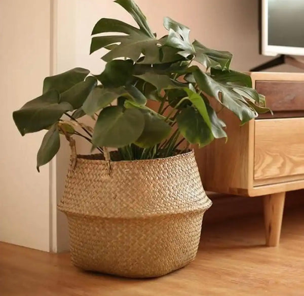 Sawgrass Rattan Basket