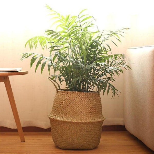 a potted plant sitting on a wooden table 