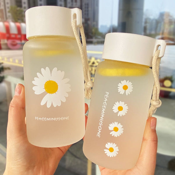 Transparent Plastic Water Bottle